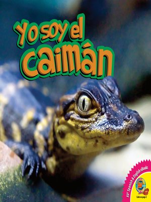 cover image of Yo soy el caimán (Alligator)